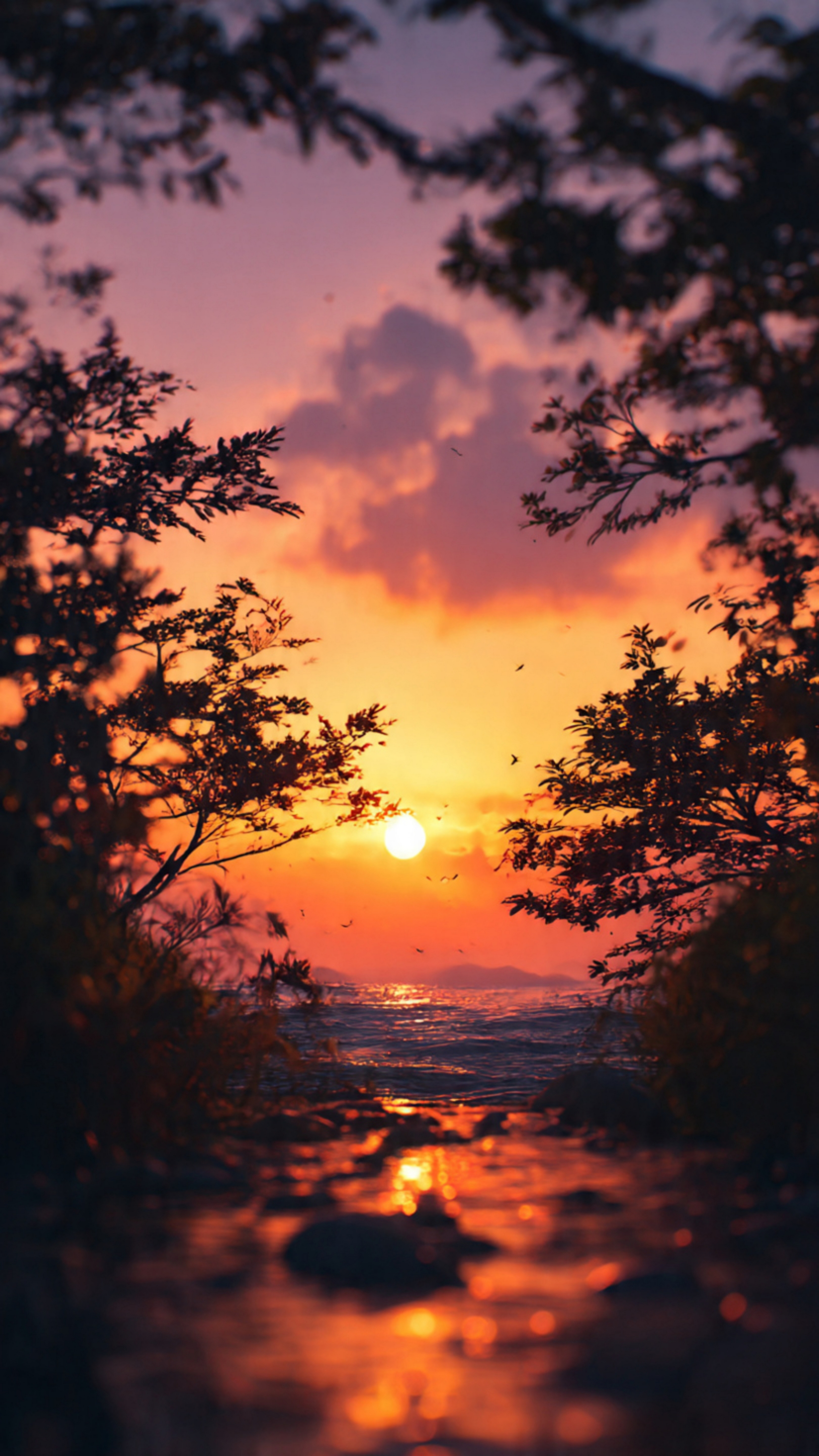 Images